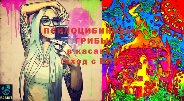 PSILOCYBIN Ладушкин