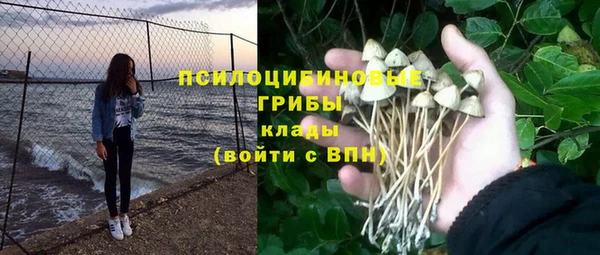 трава Краснослободск