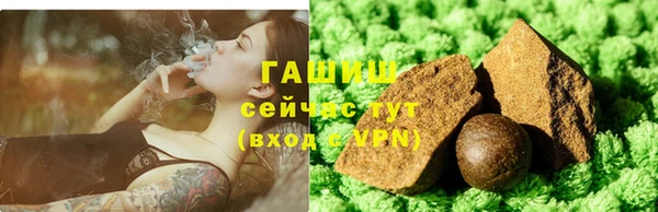 индика Лабытнанги